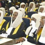 SANs constitutional court cases,SAN applicants seek extension of registration